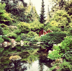 Screen Shot 2015-01-27 at 9.45.38 AM